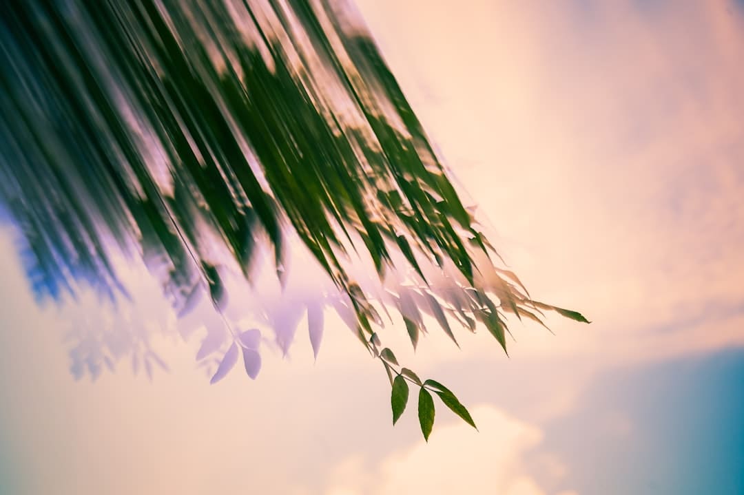 蒜头发芽了还能吃吗